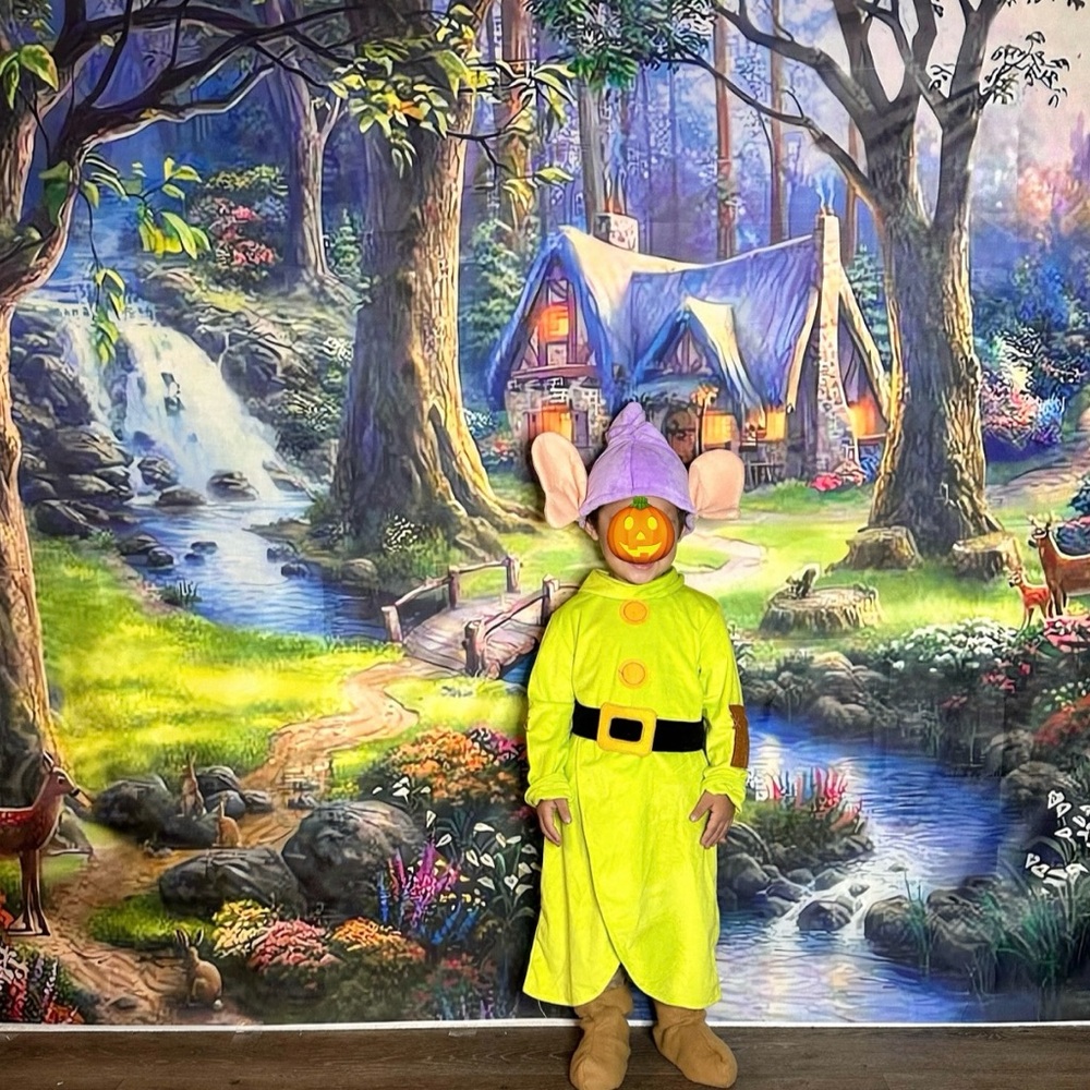 Dopey Snow White costume